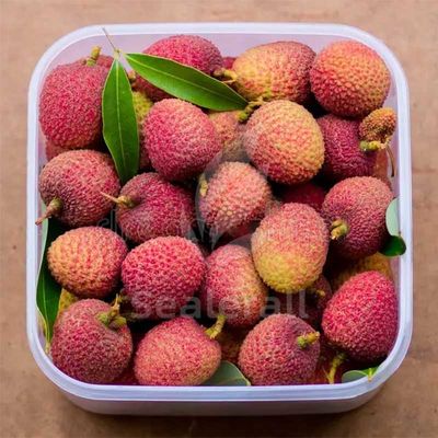 acheter Machine d'emballage sous atmosphère modifiée en acier inoxydable pour litchis frais fabrication en ligne