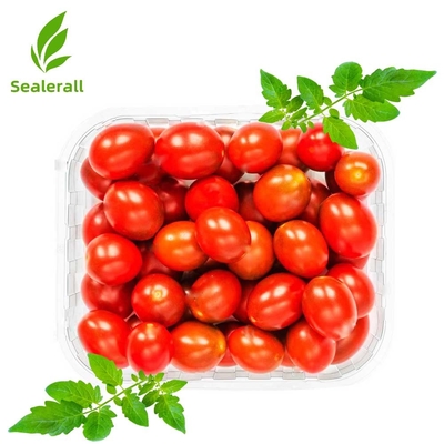 acheter Sealerall MAP Plateau Sélecteur pour les petites tomates 10-12 plateaux de colis fabrication en ligne